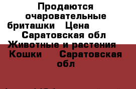 Продаются очаровательные бриташки › Цена ­ 1 000 - Саратовская обл. Животные и растения » Кошки   . Саратовская обл.